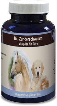 Bio Zunderschwamm