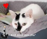 12.12.2021 Ella