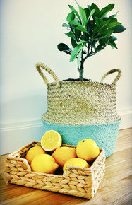 Lemon-tree & lemons