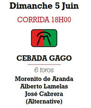 Toros de Cebada Gago pour Morenito de Aranda Alberto Lamelas José Cabrera