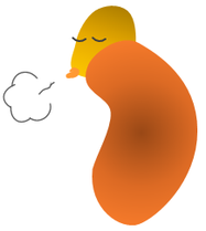 自律神経と副腎疲労 千葉市中央区 公園通り整体院