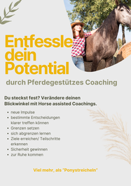 Pferdegestütztes Coaching
