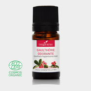 Organic essential oil Wintergreen