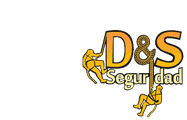 D&S Seguridad