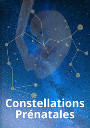 constellations familiales prenatales a tours 37 - farhad daneshmand - via energetica