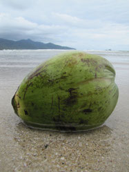 Het eiland Koh Chang gaf ons na vele reisweekjes een welverdiende rust.....