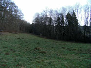 waldgrundstück Nähe thalmässing