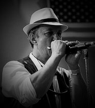 Didier Verchere (Roots Rockin Blues)
