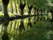 vue d'un canal dans la Venise verte