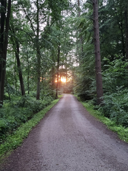 Mein energetischer Weg