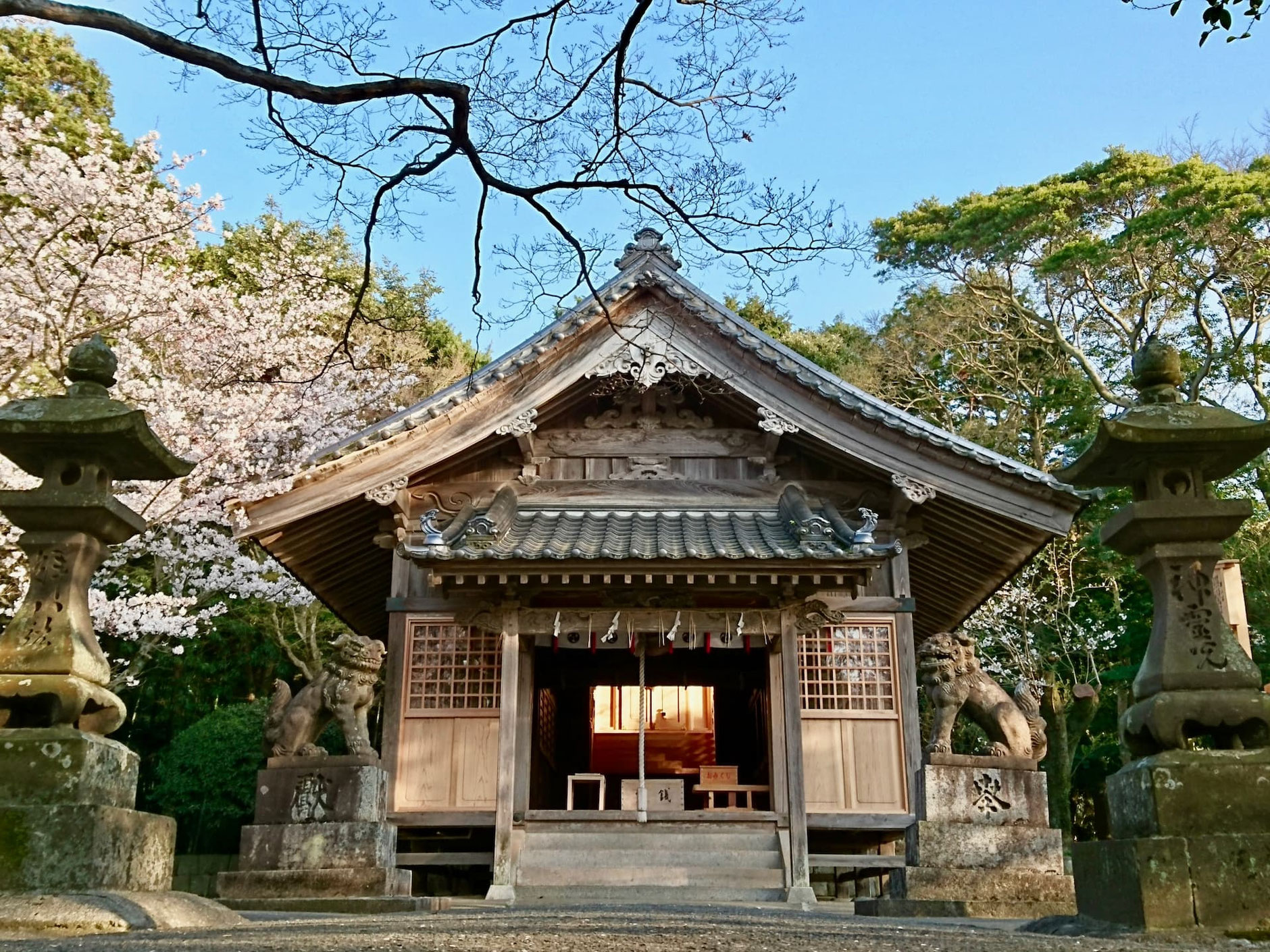 丘の一番高い場所に鎮座する鎮懐石八幡宮の本殿。