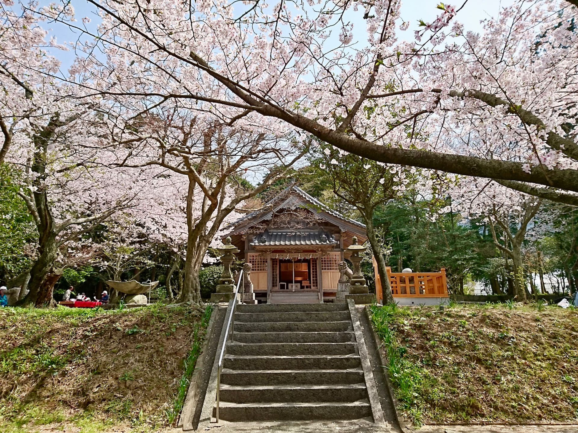 丘の一番高い場所に鎮座する鎮懐石八幡宮の本殿。