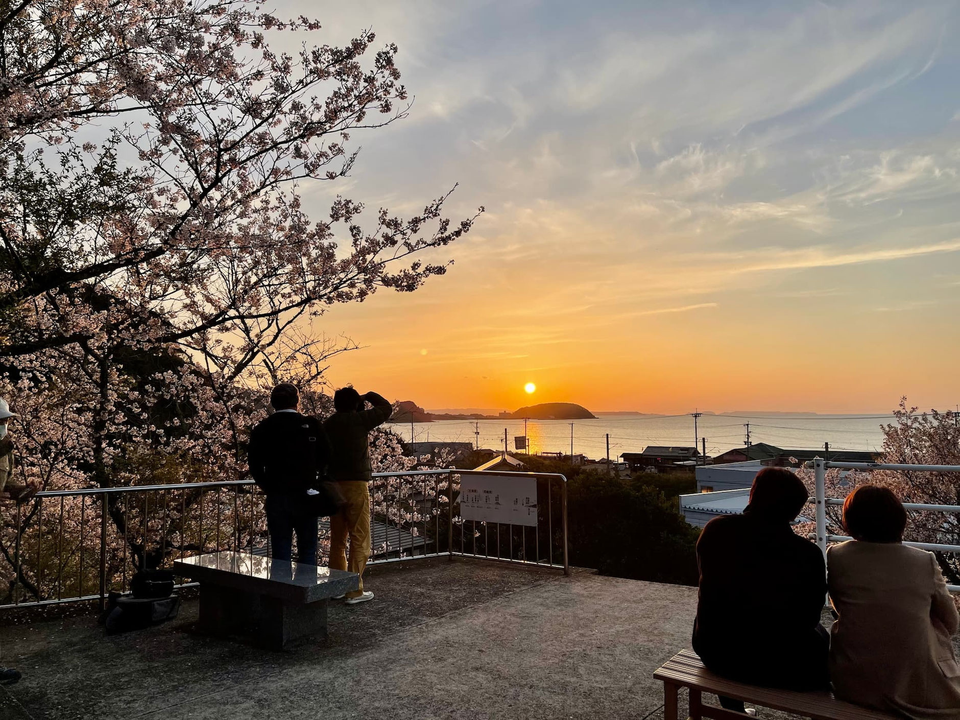 糸島で、桜・夕日・海の3つを見られる丘
