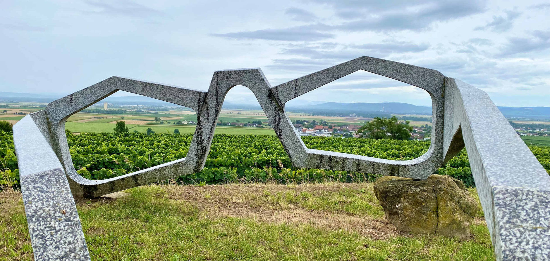 AM WAGRAM DIE WUNDERBARE WEINREGION & IHRE UMGEBUNG ENTDECKEN