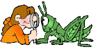 hoe zijn dieren aangepast?