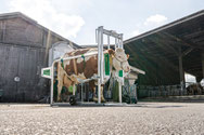 Schurr Klauenpflegestand Klauenstand 