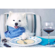 pets sweet home perugia