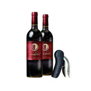 wine accessories