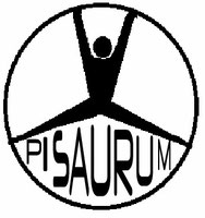 Ginnastica Artistica Pisaurum Pesaro