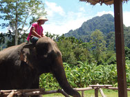 Thailand Rundreise und Baden inklusive Flug ab 1.499 Euro