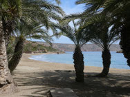 Palmenstrand Vai