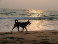 Abendspaziergang