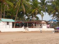 Agonda