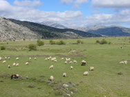 Lassithi-Ebene