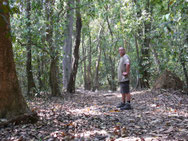  Schwitzen im Urwald - Cotigao Wildlife