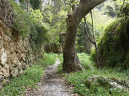 Talwanderung Mili