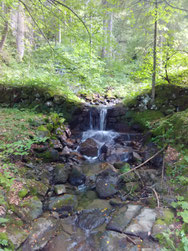 Bild:Martina Gruber Lebensfluss