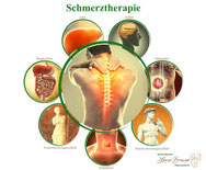 Welche Organe sind für die Körpergesundheit wichtig Heilpraktikerin Lena Brauer