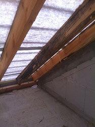 Ursache: Feuchtigkeit bei der Montage und Lagerungsfehler im Vorfeld