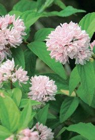 お問合わせフォーム トラストワン エクステリア商品 ガーデニング商品 外構工事が激安 お買得 神奈川県藤沢市 湘南