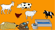 zoek de babydieren