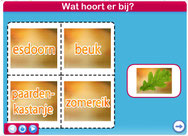 herfstlotto netwijs