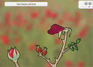 animatie van bloem tot fruit