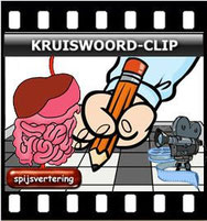 kruiswoordclip spijsvertering