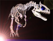 dinosaurusnet