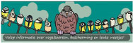 infosite vogels + vogelbescherming Nederland