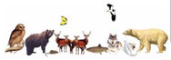 info-site dieren ( info per dier, gebied, soort)