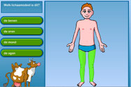 welk lichaamsdeel is het?