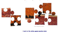 puzzel 6st.
