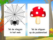 Meester Sander tiny tapoefeningen(K)