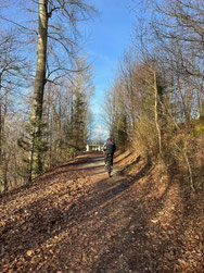 Österreich; Salzburger Land; Radfahren; Tourenplanung; Graveln; Bikepacking; Neumarkt