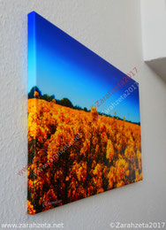 Rapsfeld als Leinwanddruck