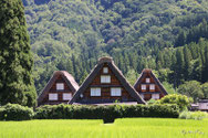 白川郷周辺（岐阜県）