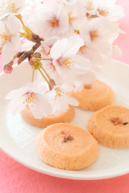 社会福祉法人オリーブの樹 オリーブハウス 手づくり クッキー ケーキ パウンドケーキ 就労継続支援事業所 B型  ミックス チョコチップ  ソルトバター マカダミアナッツ  ごま チョコブラウン アイシングクッキーづくり オリーブ轟 千葉県 千葉市 稲毛区 轟町　　