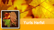 spelletjes herfst 