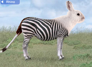 switchzoo : creatief met dieren
